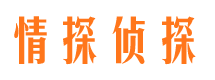 静宁市侦探公司